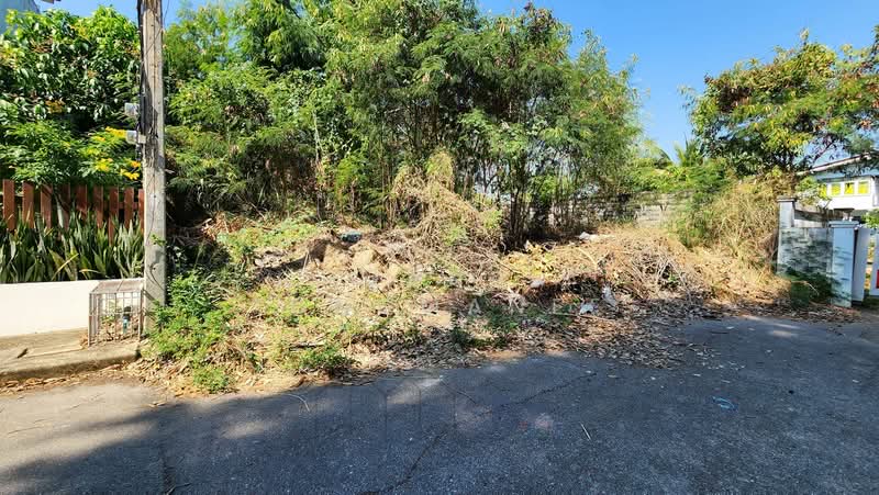 Land for Sale Near the Beach – Prime Location on Naeb Kehardt Road, Hua Hin. Rare Small Plot, Ideal, Prachuap Khiri Khan, แนบเคหาสน์, Hua Hin, Hua Hin, Prachuap Khiri Khan, , 340 sqm, Land For Sale, by Chuanpit Tongmanee, 500153858 - DDproperty.com