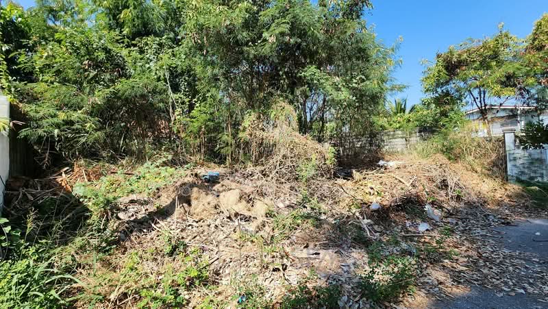 ขายที่ดินสวยใกล้ทะเล ราคา 8.7 ล้าน ขนาดที่ดิน 85.8 ตรว ทำเลดี ถนนแนบเคหาสน์ หัวหิน, ประจวบคีรีขันธ์, แนบเคหาสน์, หัวหิน, หัวหิน, ประจวบคีรีขันธ์, 340 ตร.ม., ที่ดิน ขาย, โดย Chuanpit Tongmanee, 500153858 - DDproperty.com