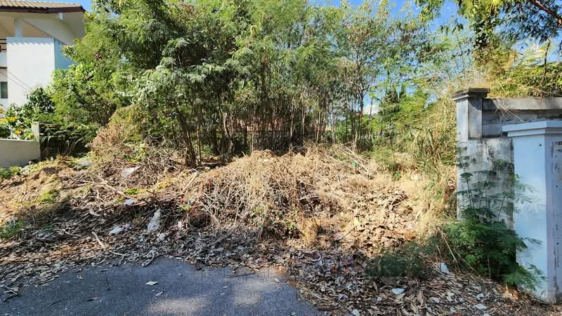 Land for Sale Near the Beach – Prime Location on Naeb Kehardt Road, Hua Hin. Rare Small Plot, Ideal, Prachuap Khiri Khan, แนบเคหาสน์, Hua Hin, Hua Hin, Prachuap Khiri Khan, , 340 sqm, Land For Sale, by Chuanpit Tongmanee, 500153858 - DDproperty.com