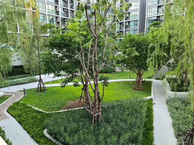 Atmoz Chaengwattana : แอทโมซ แจ้งวัฒนะ, นนทบุรี, ถนนประชาชื่น, คลองเกลือ, ปากเกร็ด, นนทบุรี, 34 ตร.ม., คอนโด ให้เช่า, โดย กำพนธ์ อัศวศิริวิลาศ, 500153903 - DDproperty.com