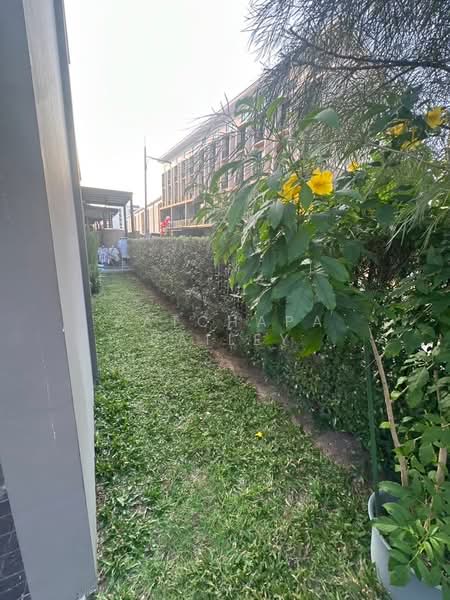 Patio Ratchayothin, Bangkok, Phahonyothin 32, Chan Kasem, Chatuchak, Bangkok, 6 Bedrooms, 267 sqm, Townhouse For Rent, by Ratchapa Bailey, 500153940 - DDproperty.com