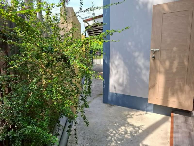 หนองตับเต่า , นาจอมเทียน ตำบลนาจอมเทียน อำเภอสัตหีบ จังหวัดชลบุรี, ชลบุรี, นาจอมเทียน, สัตหีบ, ชลบุรี, 224 ตร.ม., บ้านเดี่ยว ขาย, โดย ณิชาภา (คุณดาว) เพียจันทร์, 500153972 - DDproperty.com