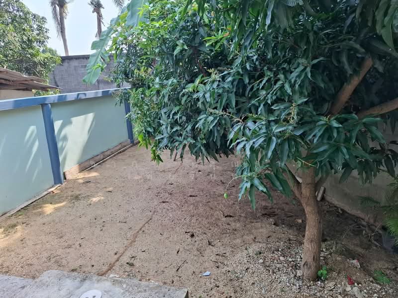 หนองตับเต่า , นาจอมเทียน ตำบลนาจอมเทียน อำเภอสัตหีบ จังหวัดชลบุรี, ชลบุรี, นาจอมเทียน, สัตหีบ, ชลบุรี, 224 ตร.ม., บ้านเดี่ยว ขาย, โดย ณิชาภา (คุณดาว) เพียจันทร์, 500153972 - DDproperty.com