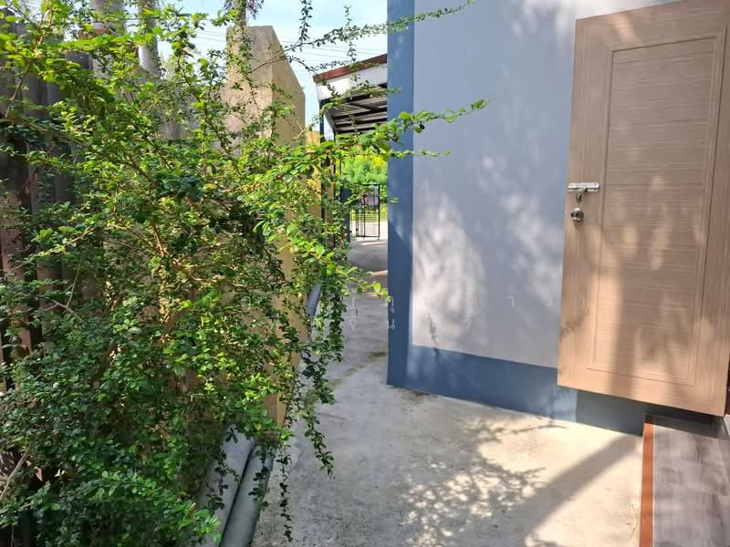 หนองตับเต่า , นาจอมเทียน ตำบลนาจอมเทียน อำเภอสัตหีบ จังหวัดชลบุรี, ชลบุรี, นาจอมเทียน, สัตหีบ, ชลบุรี, 224 ตร.ม., บ้านเดี่ยว ขาย, โดย ณิชาภา (คุณดาว) เพียจันทร์, 500153972 - DDproperty.com