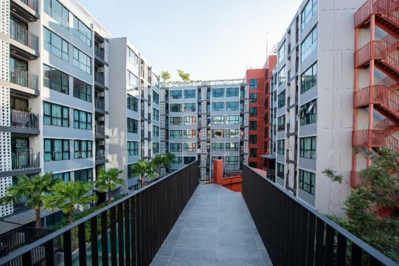 ให้เช่า - The Cube Loft Srinakarin-Theparak : เดอะคิวบ์ ลอฟท์ ศรีนครินทร์-เทพารักษ์, สมุทรปราการ