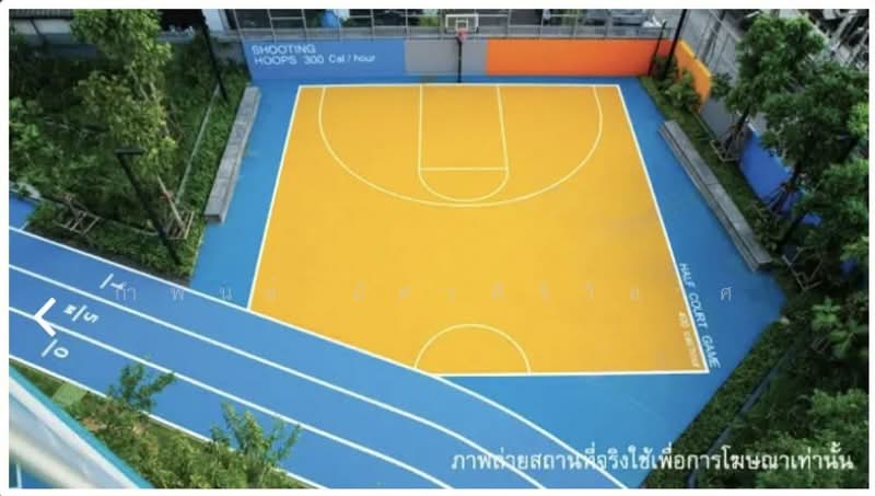 The Selected Kaset-Ngam Wongwan, Bangkok, 18 Ngamwongwan Road, Lat Yao, Chatuchak, Bangkok, 1 Bedroom, 28 sqm, Condo For Rent, by กำพนธ์ อัศวศิริวิลาศ, 500154013 - DDproperty.com