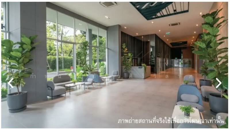 The Selected Kaset-Ngam Wongwan : เดอะ ซีเล็คเต็ด เกษตร-งามวงศ์วาน, กรุงเทพ, 18 ถนน งามวงศ์วาน, ลาดยาว, จตุจักร, กรุงเทพ, 28 ตร.ม., คอนโด ให้เช่า, โดย กำพนธ์ อัศวศิริวิลาศ, 500154013 - DDproperty.com