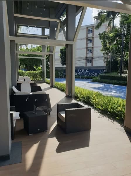 The Selected Kaset-Ngam Wongwan, Bangkok, 18 Ngamwongwan Road, Lat Yao, Chatuchak, Bangkok, 1 Bedroom, 28 sqm, Condo For Rent, by กำพนธ์ อัศวศิริวิลาศ, 500154013 - DDproperty.com