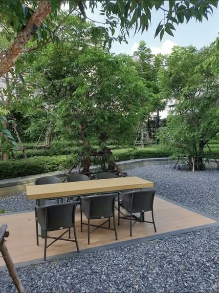 The Selected Kaset-Ngam Wongwan, Bangkok, 18 Ngamwongwan Road, Lat Yao, Chatuchak, Bangkok, 1 Bedroom, 28 sqm, Condo For Rent, by กำพนธ์ อัศวศิริวิลาศ, 500154013 - DDproperty.com