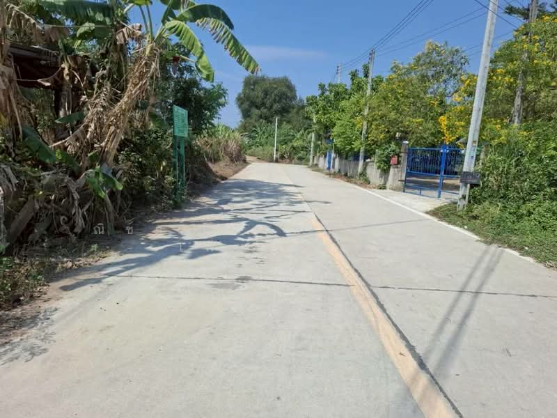 Huy Yai, Chon Buri (Pattaya), ใกล้โลมาโชว์, Huai Yai, Bang Lamung (Pattaya), Chon Buri (Pattaya), , 800 sqm, Land For Sale, by Nichapa Phiachan, 500154020 - DDproperty.com