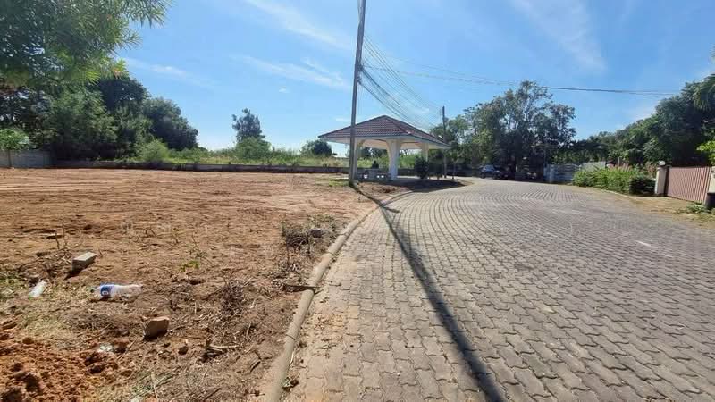 ซอยชัยพฤกษ์ 2 - พัทยา ตำบลหนองปรือ อำเภอบางละมุง จังหวัดชลบุรี, ชลบุรี, หนองปรือ, บางละมุง, ชลบุรี, 780 ตร.ม., ที่ดิน ขาย, โดย ณิชาภา (คุณดาว) เพียจันทร์, 500154036 - DDproperty.com