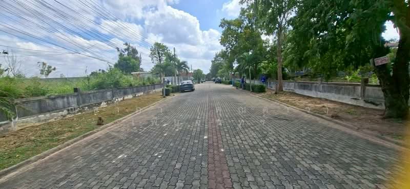 ซอยชัยพฤกษ์ 2 - พัทยา ตำบลหนองปรือ อำเภอบางละมุง จังหวัดชลบุรี, ชลบุรี, หนองปรือ, บางละมุง, ชลบุรี, 780 ตร.ม., ที่ดิน ขาย, โดย ณิชาภา (คุณดาว) เพียจันทร์, 500154036 - DDproperty.com