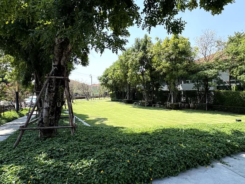 Setthasiri Krungthep Kreetha, Bangkok, Krungthep Kreetha Road, Hua Mak, Bang Kapi, Bangkok, 4 Bedrooms, 280 sqm, Single Detached House For Rent, by Nutty Property, 500154049 - DDproperty.com