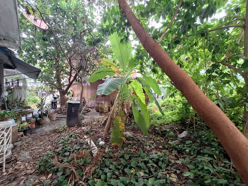 ที่ดินสุขุมวิท 93 บีทีเอส บางจาก 114 วา 7.5 ล้าน, กรุงเทพ, ซอยพึ่งมี 21, สวนหลวง, สวนหลวง, กรุงเทพ, 456 ตร.ม., ที่ดิน ขาย, โดย Wipada Leelerdpong, 500154067 - DDproperty.com