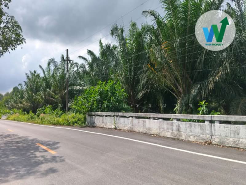 For Sale - For sale Large land plot at Chamuang Khuankhanun Phatthalung, Phatthalung