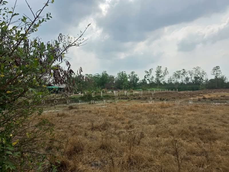 ที่ดินพานทอง ชลบุรี, ชลบุรี, หนองตำลึง, พานทอง, ชลบุรี, 10,820 ตร.ม., ที่ดิน ขาย, โดย The Best Property น้ำจัณฑ์, 500154272 - DDproperty.com