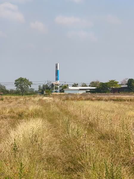 ที่ดินศรีเทพ เพชรบูรณ์, เพชรบูรณ์, โคกสะอาด, ศรีเทพ, เพชรบูรณ์, 47,716 ตร.ม., ที่ดิน ขาย, โดย The Best Property ตั๊ก, 500154297 - DDproperty.com