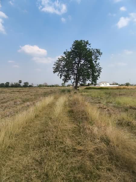 ที่ดินศรีเทพ เพชรบูรณ์, Phetchabun, Khok Sa-at, Si Thep, Phetchabun, , 47,716 sqm, Land For Sale, by The Best Property ตั๊ก, 500154297 - DDproperty.com