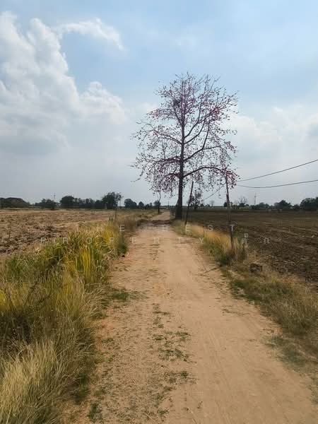 ที่ดินศรีเทพ เพชรบูรณ์, Phetchabun, Khok Sa-at, Si Thep, Phetchabun, , 47,716 sqm, Land For Sale, by The Best Property ตั๊ก, 500154297 - DDproperty.com