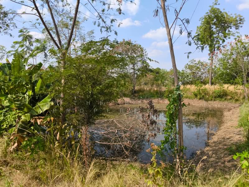 ที่ดินศรีเทพ เพชรบูรณ์, เพชรบูรณ์, โคกสะอาด, ศรีเทพ, เพชรบูรณ์, 47,716 ตร.ม., ที่ดิน ขาย, โดย The Best Property ตั๊ก, 500154297 - DDproperty.com