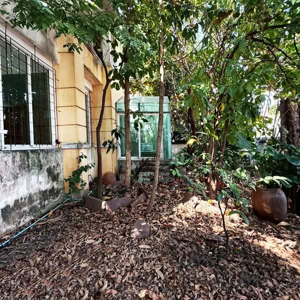 Baan Baramed, Bangkok, Soi 62, Chaloem Phrakiat Ratchakan Thi 9, Dok Mai, Prawet, Bangkok, 3 Bedrooms, 200 sqm, Single Detached House For Sale, by AJHOMECENTER (จูน)  092-696-4426, 500154305 - DDproperty.com