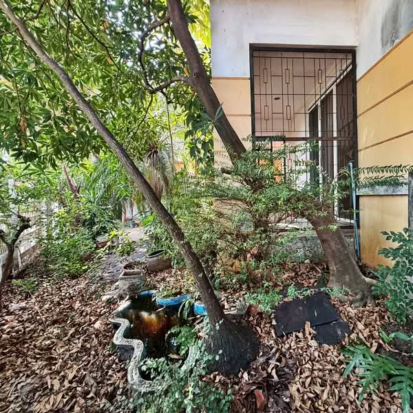 Baan Baramed, Bangkok, Soi 62, Chaloem Phrakiat Ratchakan Thi 9, Dok Mai, Prawet, Bangkok, 3 Bedrooms, 200 sqm, Single Detached House For Sale, by AJHOMECENTER (จูน)  092-696-4426, 500154305 - DDproperty.com