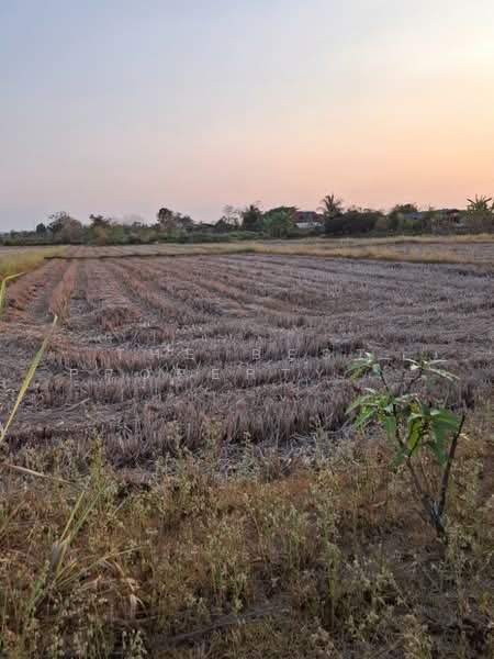 ที่ดินพร้อมสิ่งปลูกสร้างเทิง เชียงราย, เชียงราย, งิ้ว, เทิง, เชียงราย, 15,380 ตร.ม., ที่ดิน ขาย, โดย The Best Property ไนล์, 500154307 - DDproperty.com