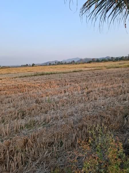 ที่ดินพร้อมสิ่งปลูกสร้างเทิง เชียงราย, เชียงราย, งิ้ว, เทิง, เชียงราย, 15,380 ตร.ม., ที่ดิน ขาย, โดย The Best Property ไนล์, 500154307 - DDproperty.com