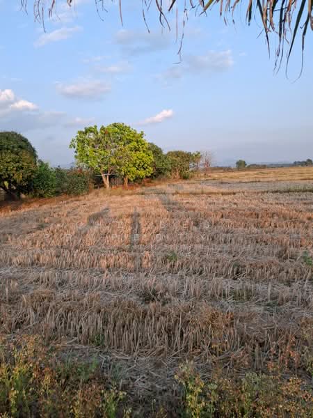 ที่ดินพร้อมสิ่งปลูกสร้างเทิง เชียงราย, เชียงราย, งิ้ว, เทิง, เชียงราย, 15,380 ตร.ม., ที่ดิน ขาย, โดย The Best Property ไนล์, 500154307 - DDproperty.com