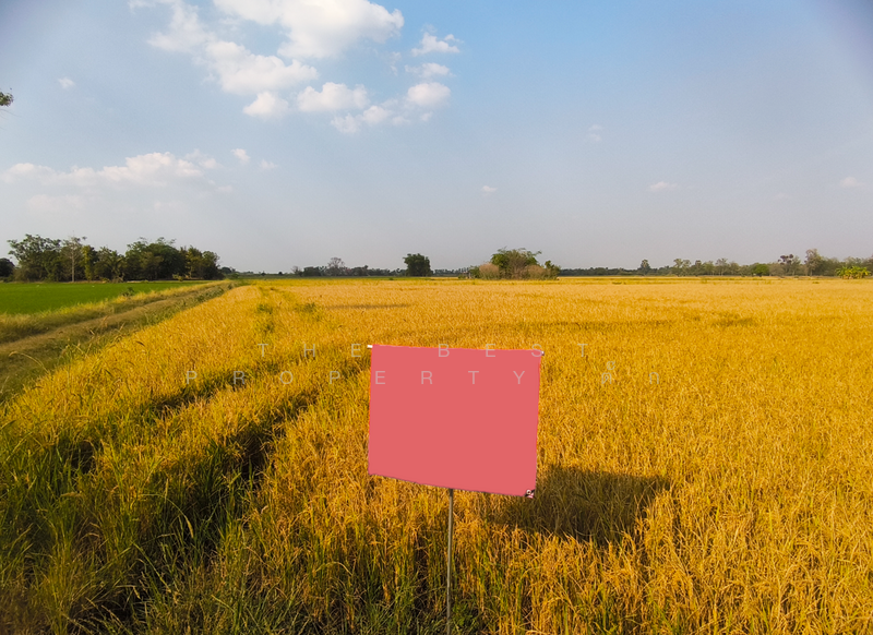 ที่ดินศรีเทพ เพชรบูรณ์, Phetchabun, Khok Sa-at, Si Thep, Phetchabun, , 23,580 sqm, Land For Sale, by The Best Property ตั๊ก, 500154310 - DDproperty.com