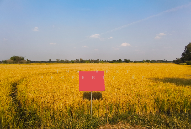 ที่ดินศรีเทพ เพชรบูรณ์, Phetchabun, Khok Sa-at, Si Thep, Phetchabun, , 23,580 sqm, Land For Sale, by The Best Property ตั๊ก, 500154310 - DDproperty.com