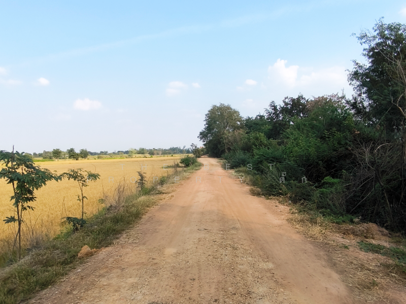 ที่ดินศรีเทพ เพชรบูรณ์, เพชรบูรณ์, โคกสะอาด, ศรีเทพ, เพชรบูรณ์, 23,580 ตร.ม., ที่ดิน ขาย, โดย The Best Property ตั๊ก, 500154310 - DDproperty.com