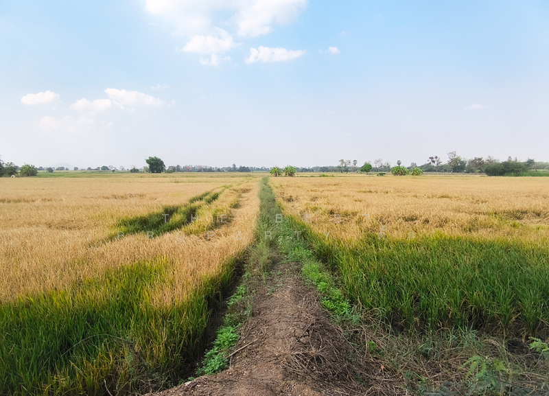 ที่ดินศรีเทพ เพชรบูรณ์, Phetchabun, Khok Sa-at, Si Thep, Phetchabun, , 23,580 sqm, Land For Sale, by The Best Property ตั๊ก, 500154310 - DDproperty.com