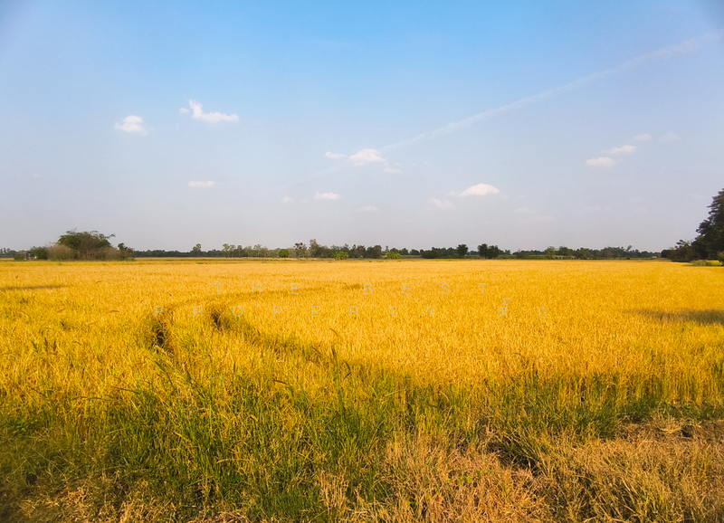 ที่ดินศรีเทพ เพชรบูรณ์, Phetchabun, Khok Sa-at, Si Thep, Phetchabun, , 23,580 sqm, Land For Sale, by The Best Property ตั๊ก, 500154310 - DDproperty.com