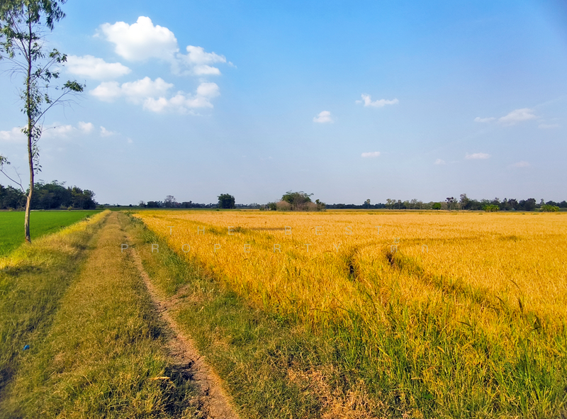 ที่ดินศรีเทพ เพชรบูรณ์, Phetchabun, Khok Sa-at, Si Thep, Phetchabun, , 23,580 sqm, Land For Sale, by The Best Property ตั๊ก, 500154310 - DDproperty.com