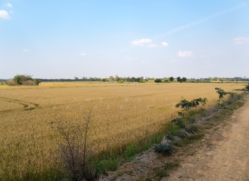 ที่ดินศรีเทพ เพชรบูรณ์, Phetchabun, Khok Sa-at, Si Thep, Phetchabun, , 23,580 sqm, Land For Sale, by The Best Property ตั๊ก, 500154310 - DDproperty.com