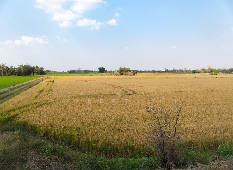 ที่ดินศรีเทพ เพชรบูรณ์, Phetchabun, Khok Sa-at, Si Thep, Phetchabun, , 23,580 sqm, Land For Sale, by The Best Property ตั๊ก, 500154310 - DDproperty.com