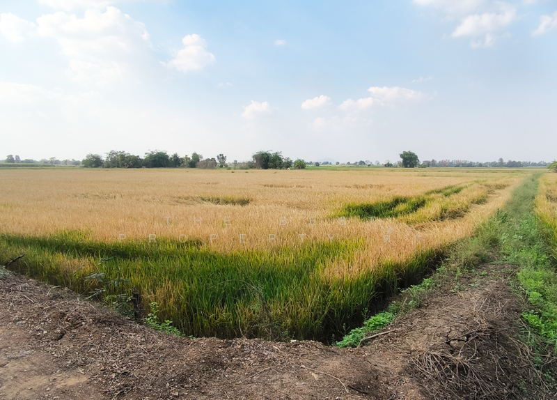 ที่ดินศรีเทพ เพชรบูรณ์, เพชรบูรณ์, โคกสะอาด, ศรีเทพ, เพชรบูรณ์, 23,580 ตร.ม., ที่ดิน ขาย, โดย The Best Property ตั๊ก, 500154310 - DDproperty.com