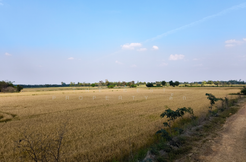 ที่ดินศรีเทพ เพชรบูรณ์, เพชรบูรณ์, โคกสะอาด, ศรีเทพ, เพชรบูรณ์, 23,580 ตร.ม., ที่ดิน ขาย, โดย The Best Property ตั๊ก, 500154310 - DDproperty.com