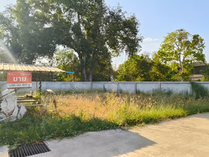 ที่ดินโคกสูง นครราชสีมา, นครราชสีมา, โคกสูง, เมืองนครราชสีมา, นครราชสีมา, 196 ตร.ม., ที่ดิน ขาย, โดย The Best Property ยุ, 500154312 - DDproperty.com