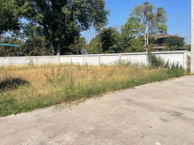 ที่ดินโคกสูง นครราชสีมา, นครราชสีมา, โคกสูง, เมืองนครราชสีมา, นครราชสีมา, 196 ตร.ม., ที่ดิน ขาย, โดย The Best Property ยุ, 500154312 - DDproperty.com