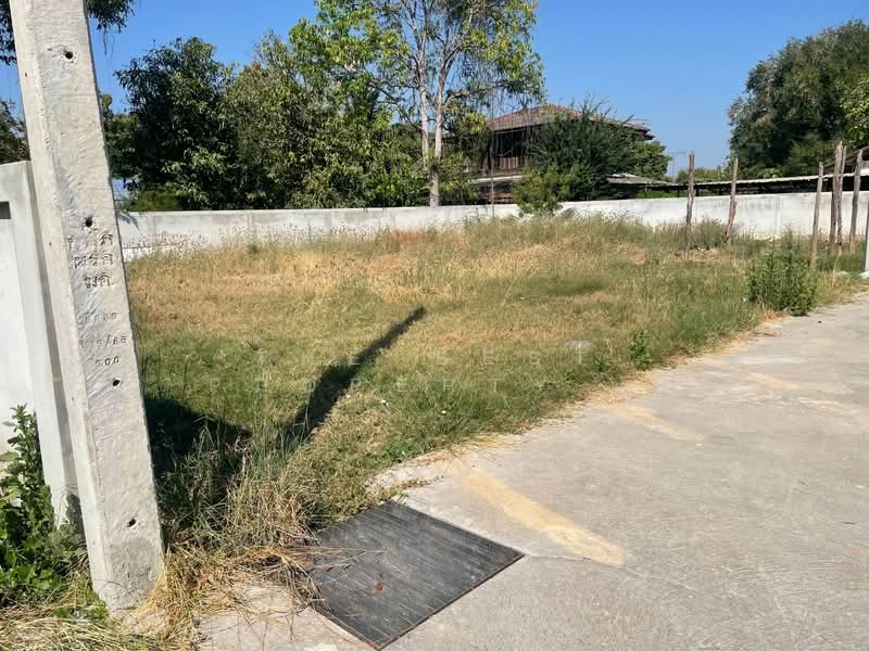 ที่ดินโคกสูง นครราชสีมา, นครราชสีมา, โคกสูง, เมืองนครราชสีมา, นครราชสีมา, 196 ตร.ม., ที่ดิน ขาย, โดย The Best Property ยุ, 500154312 - DDproperty.com