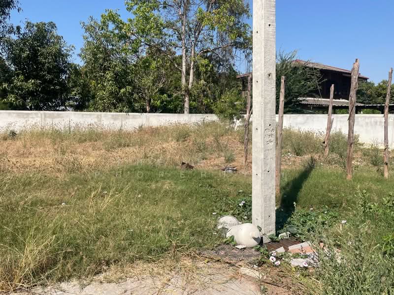 ที่ดินโคกสูง นครราชสีมา, นครราชสีมา, โคกสูง, เมืองนครราชสีมา, นครราชสีมา, 196 ตร.ม., ที่ดิน ขาย, โดย The Best Property ยุ, 500154312 - DDproperty.com