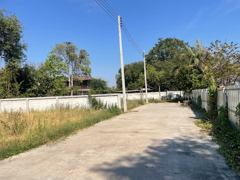 ที่ดินโคกสูง นครราชสีมา, Nakhon Ratchasima, Khok Sung, Muang Nakhon Ratchasima, Nakhon Ratchasima, , 196 sqm, Land For Sale, by The Best Property ยุ, 500154312 - DDproperty.com