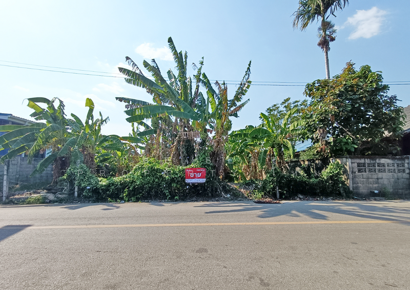 ขาย - ที่ดินพลับพลา จันทบุรี, จันทบุรี