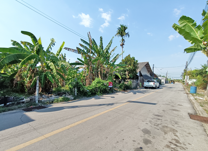 ขาย - ที่ดินพลับพลา จันทบุรี, จันทบุรี