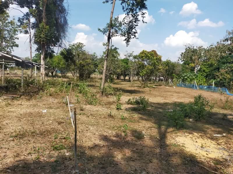 ขายที่ดินพร้อมบ้านเดี่ยวชั้นเดียว เนื้อที่ 5 ไร่ 1 งาน 3 ตารางวา, ราชบุรี, รางบัว, จอมบึง, ราชบุรี, 8,412 ตร.ม., ที่ดิน ขาย, โดย กัญฐณา นันทะราช, 500154407 - DDproperty.com