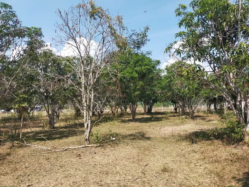 ขายที่ดินพร้อมบ้านเดี่ยวชั้นเดียว เนื้อที่ 5 ไร่ 1 งาน 3 ตารางวา, ราชบุรี, รางบัว, จอมบึง, ราชบุรี, 8,412 ตร.ม., ที่ดิน ขาย, โดย กัญฐณา นันทะราช, 500154407 - DDproperty.com