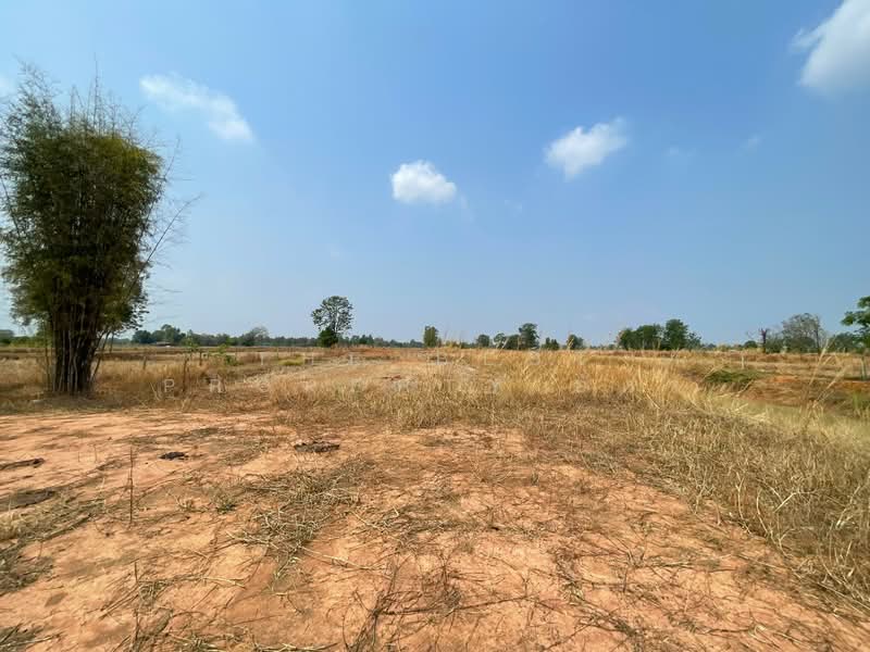 For Sale - ที่ดินบ้านไผ่ ขอนแก่น, Khon Kaen