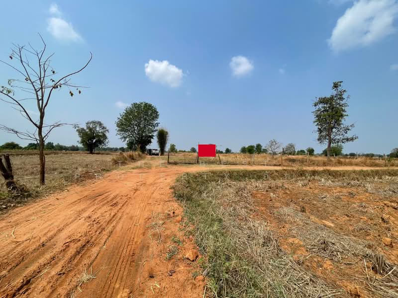 For Sale - ที่ดินบ้านไผ่ ขอนแก่น, Khon Kaen